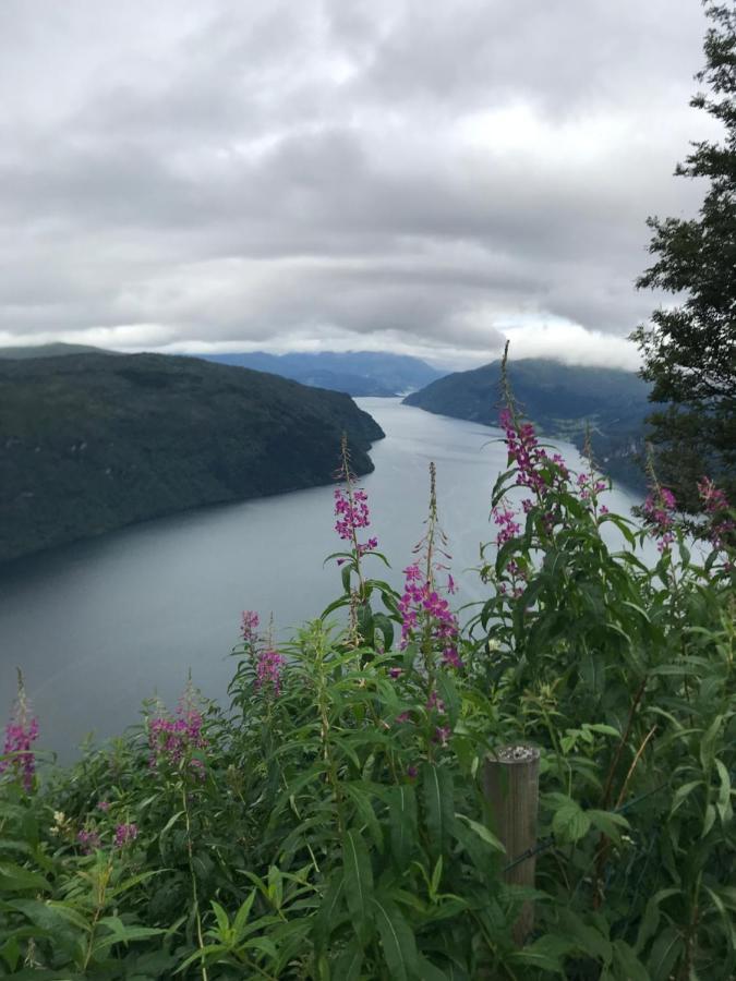 Panorama Fjord Olden Apartment Luaran gambar